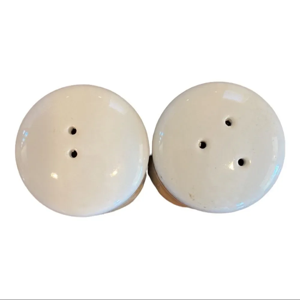 Arizona Salt and Pepper Shakers Ceramic